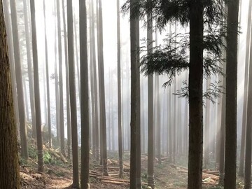 株式会社大窪建設-2