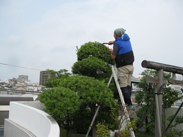 有限会社石川造園土木-top