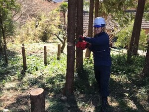 株式会社THREE-top