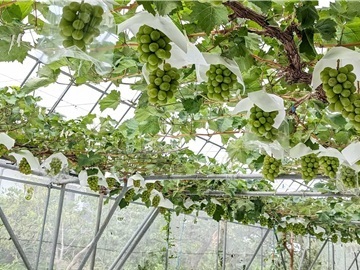 株式会社秀果園-3