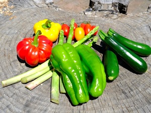 長野県豊丘村　地域おこし協力隊募集-top