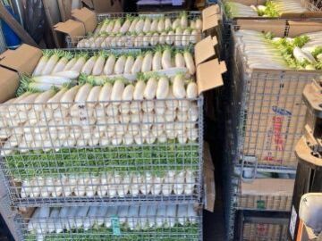 三戸浜タナカファーム-3