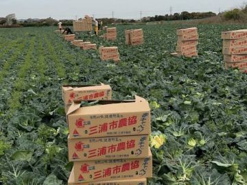 三戸浜タナカファーム-5