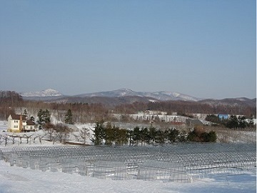 農業生産法人 株式会社余市和田農園-3