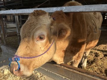 株式会社中野畜産【パート】-2