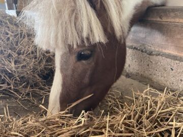 株式会社中野畜産【パート】-3
