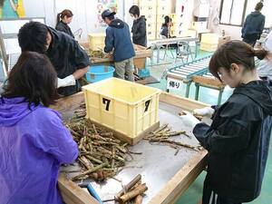 株式会社プラスナレッジ【南大東島】-top