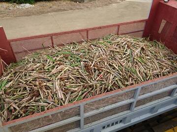 株式会社プラスナレッジ【南大東島】-1