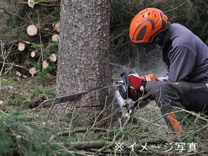 福井県福井市×林業作業員/法人【42491】-top