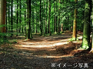 福井県福井市×林業作業員/法人【42492】-1