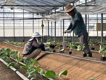 鹿本農業協同組合【研修生】-4