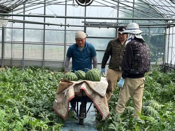 鹿本農業協同組合【研修生】-6