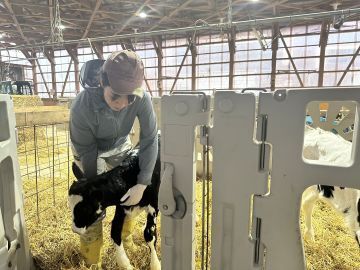 有限会社アグリファイン-7