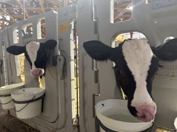 有限会社アグリファイン-8