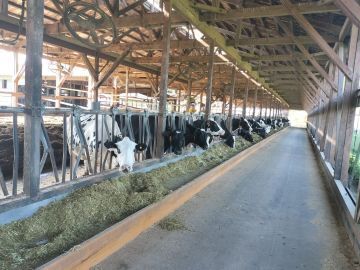 丹波酪農ヘルパー利用組合(株式会社 京都協同管理)-4