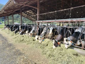 丹波酪農ヘルパー利用組合(株式会社 京都協同管理)-5