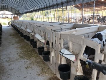 丹波酪農ヘルパー利用組合(株式会社 京都協同管理)-6