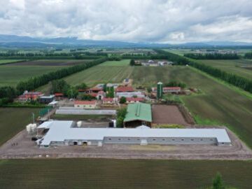 国井牧場(士幌町)-1