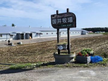 国井牧場(士幌町)-2
