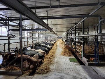 国井牧場(士幌町)-3