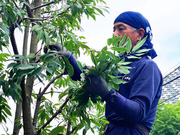株式会社大津賀造園-5