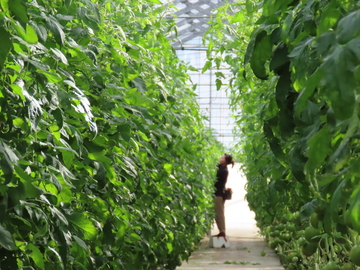 有限会社フレッシュファクトリー-3