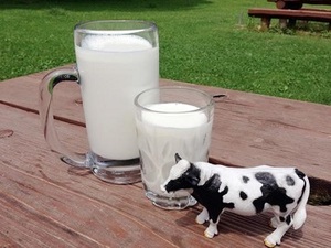 栃木県那須塩原市×酪農/法人【4375】-top