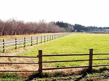 栃木県那須塩原市×酪農/法人【4375】-3