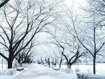 栃木県那須塩原市×酪農/法人【4375】-4