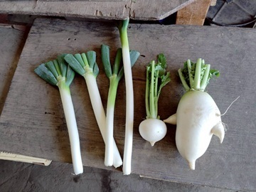 株式会社べジタプラザ-6