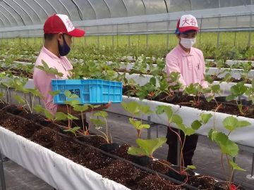 西岡農園(奈良)-4