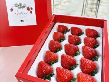 苺のマルシェ(所沢北田農園)-6