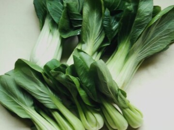 株式会社八百万-2