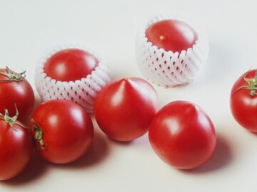 株式会社八百万-4