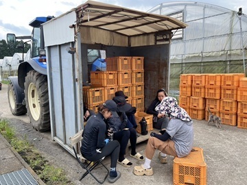 農業生産法人 株式会社愛菜-3