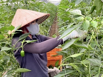農業生産法人 株式会社愛菜-1