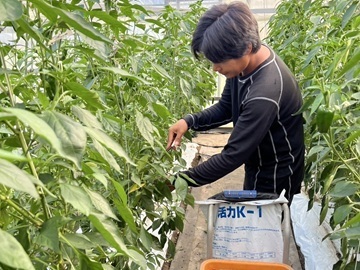 農業生産法人 株式会社愛菜-4