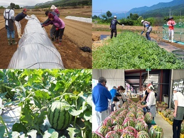 長野県飯山市　地域おこし協力隊募集-6