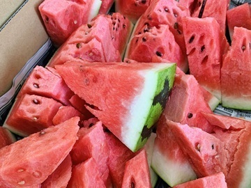 長野県飯山市　地域おこし協力隊募集-4