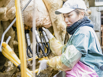 有限会社ファム・エイ-2