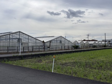 有限会社高橋農園-6