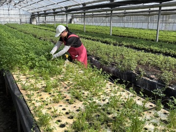 有限会社高橋農園-7