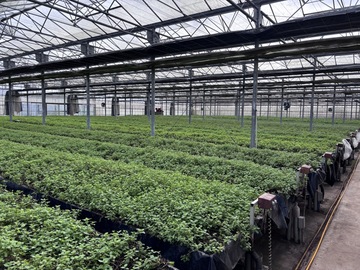 有限会社高橋農園-4