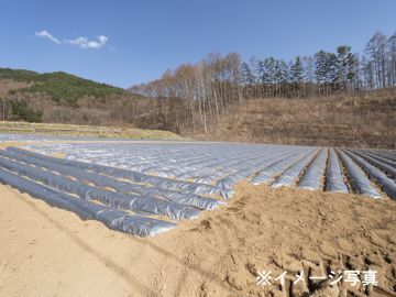小泉製麻株式会社【東京都:法人営業】-2