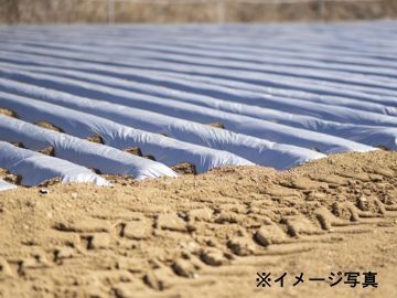 小泉製麻株式会社【兵庫県:法人営業】-2