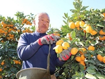 中川果樹園株式会社-1