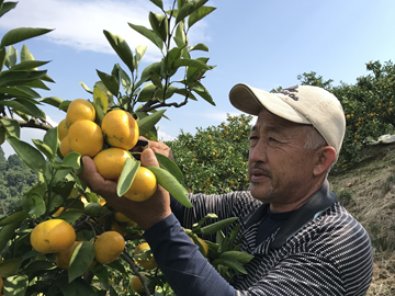 中川果樹園株式会社-3