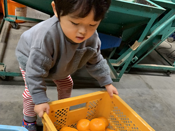 中川果樹園株式会社-4