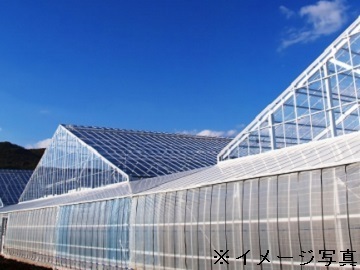 小泉製麻株式会社【兵庫県:商品企画】-1