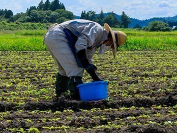 株式会社Do&Think【埼玉県:青果営業】-4